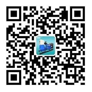 濰坊華東發(fā)動機(jī)有限公司（www.域名.com）