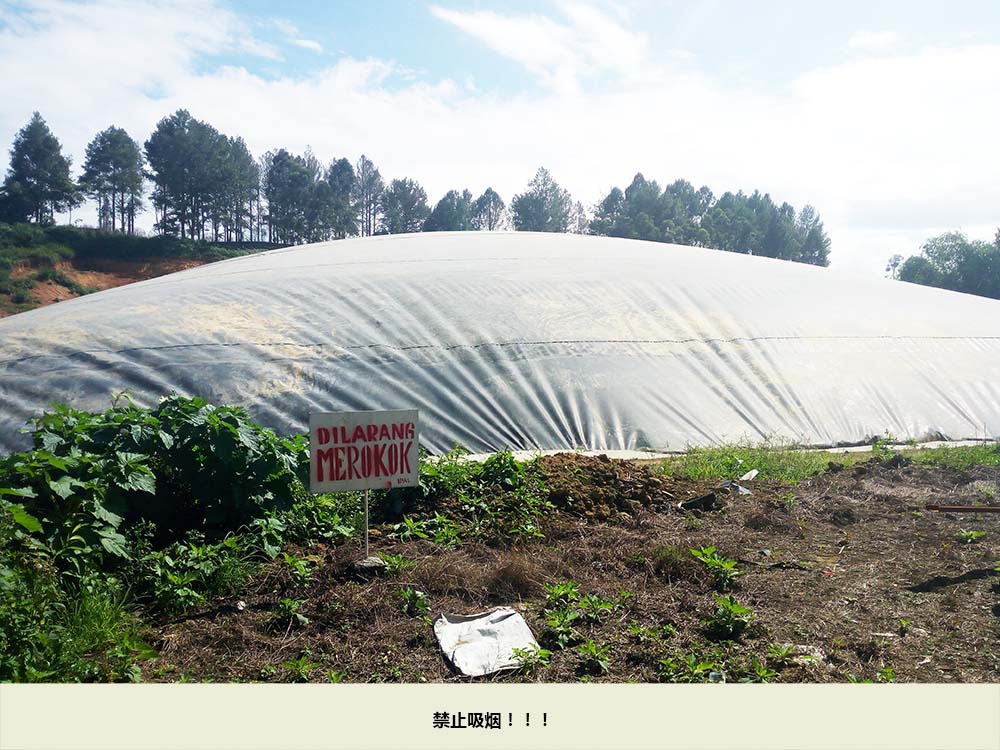 禁止吸煙.jpg