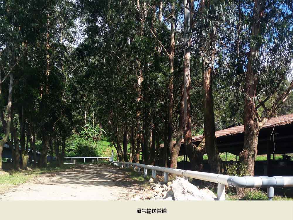 沼氣輸送管道.jpg