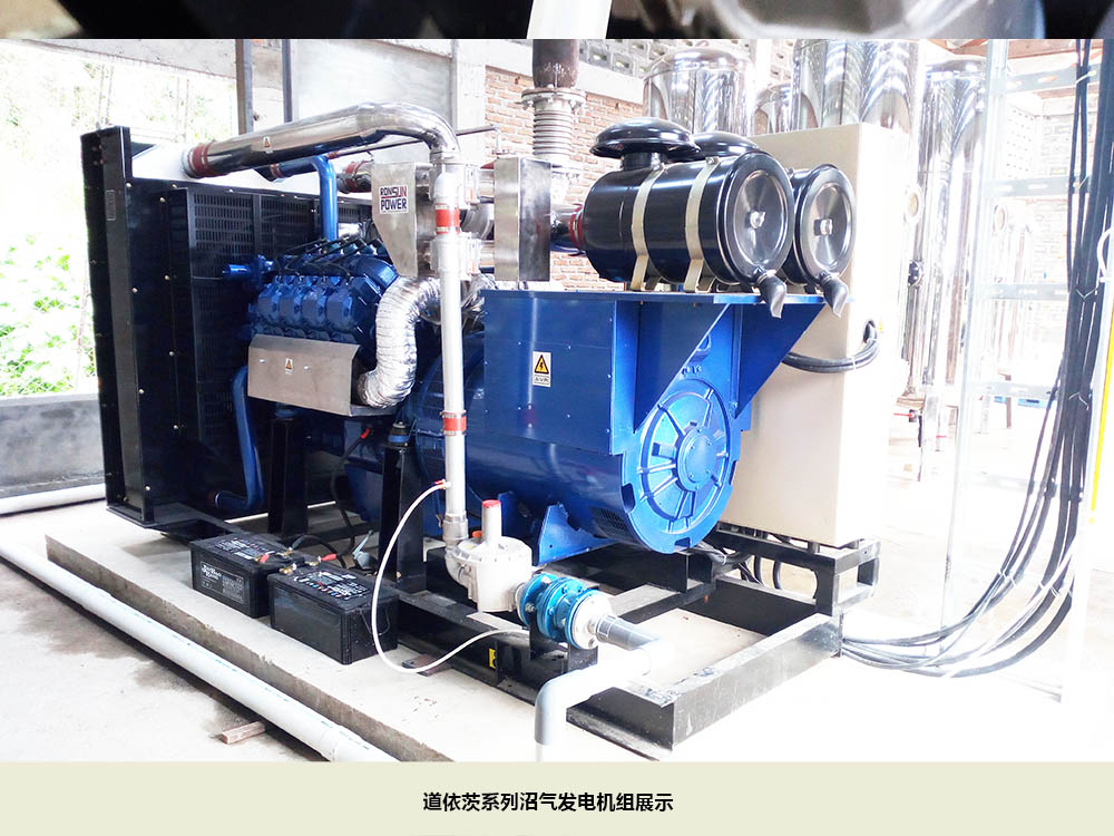 沼氣發(fā)電機(jī)組展示.jpg