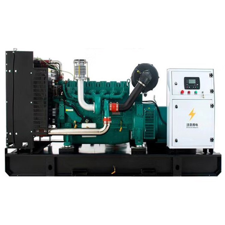 300kw濰柴4.jpg